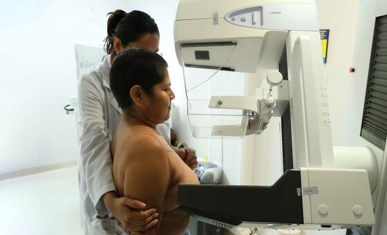 OMS pede ação urgente: novos casos de câncer devem quase dobrar até 2050
